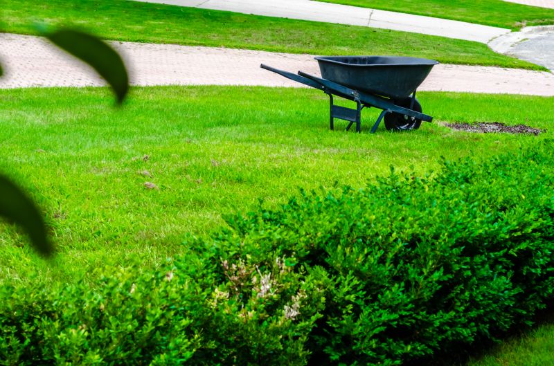 Tools You Actually Need