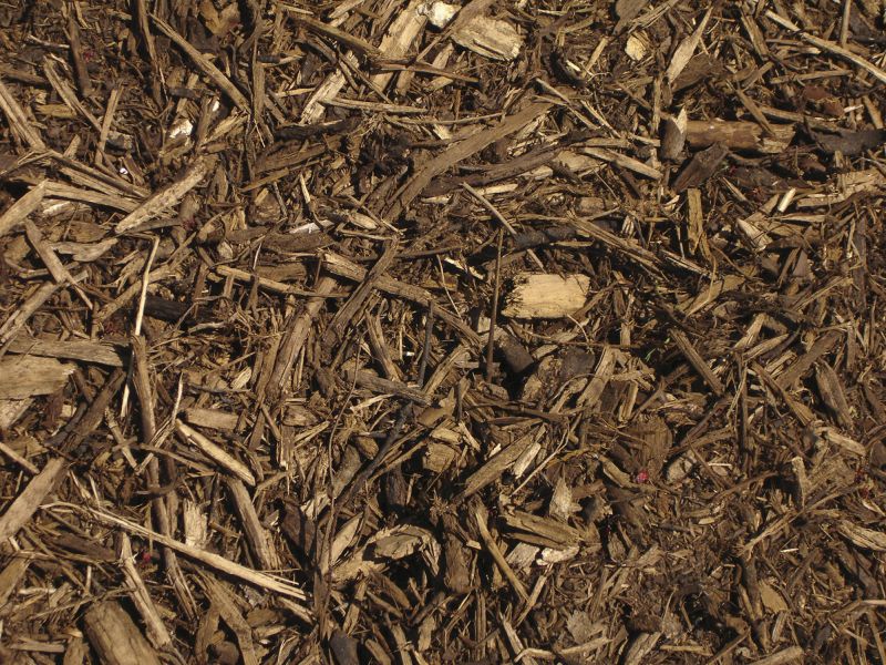 Mulch Quality and Packaging
